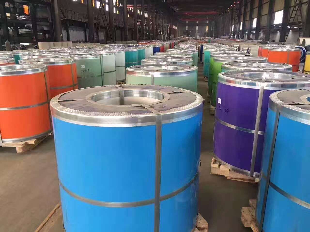 PPGI (3)